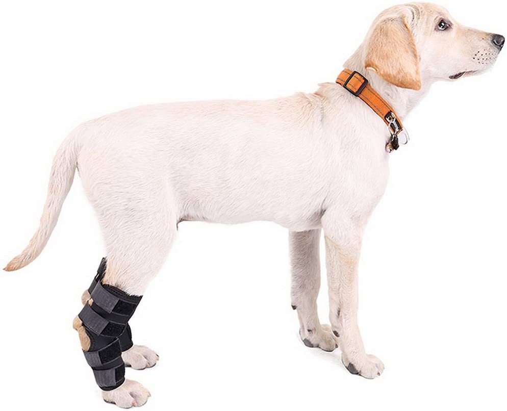  Zunea Dog Canine - Juego de 2 Protectores para la Pierna Trasera y Soporte Extra para la articulación de la Pierna y la Artritis 