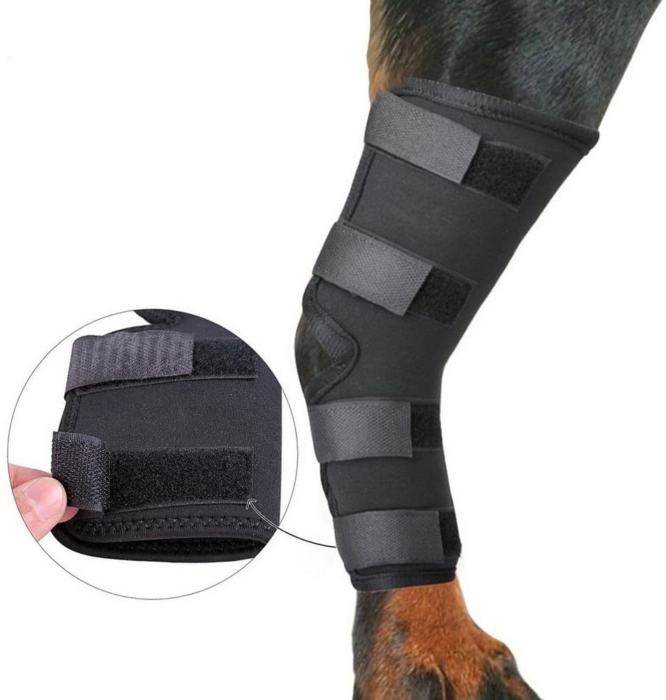  Zunea Dog Canine - Juego de 2 Protectores para la Pierna Trasera y Soporte Extra para la articulación de la Pierna y la Artritis 