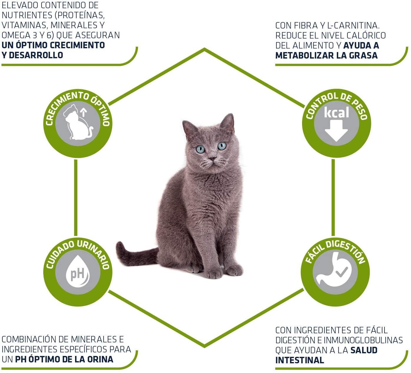  Advance Junior Sterilized - Pienso para Gatos esterilizados de hasta 2 años de Edad - 1.5 kg 
