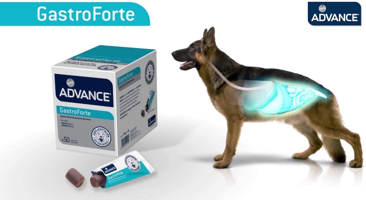  Advance Suplemento Nutricional para Perros Articularforte - 200 gr 