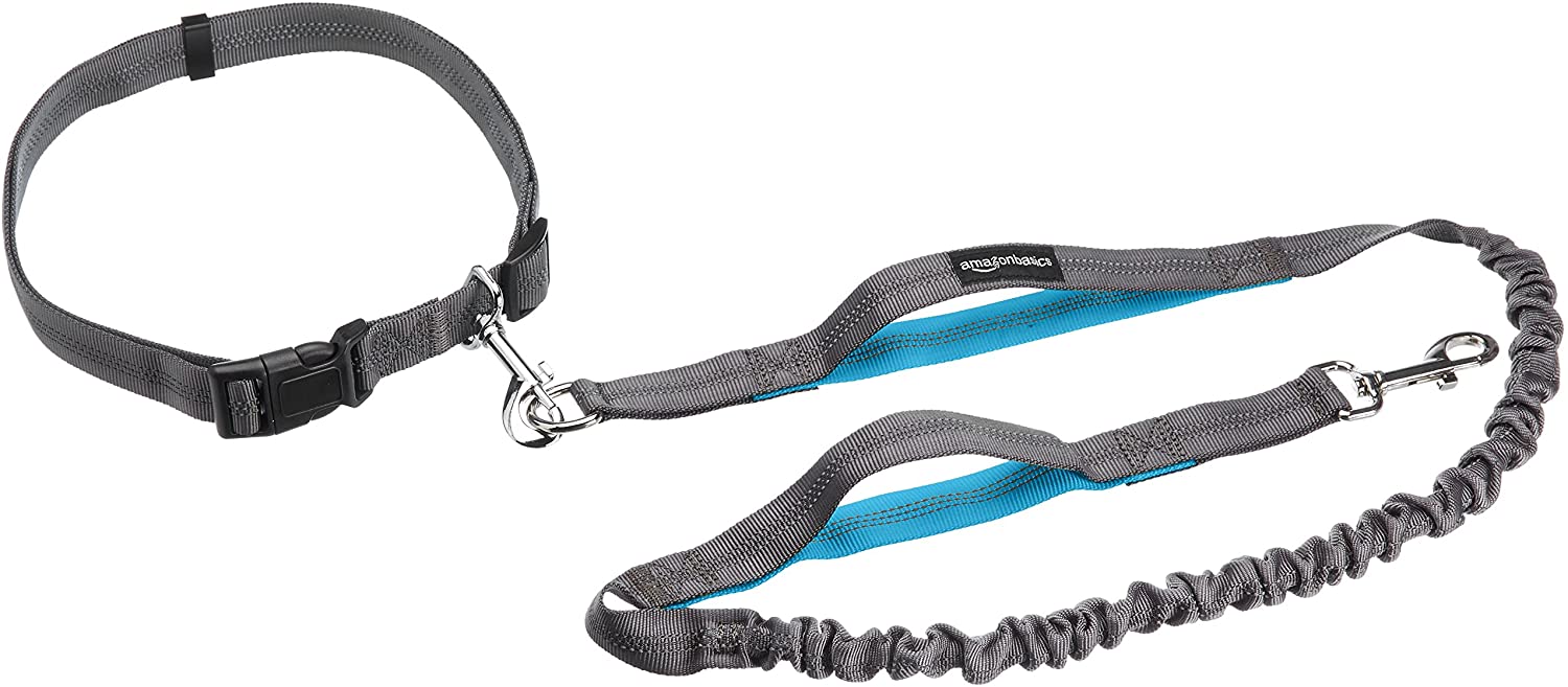  AmazonBasics - Correa para perro, elástica, asa doble, 1,21 m, color azul 