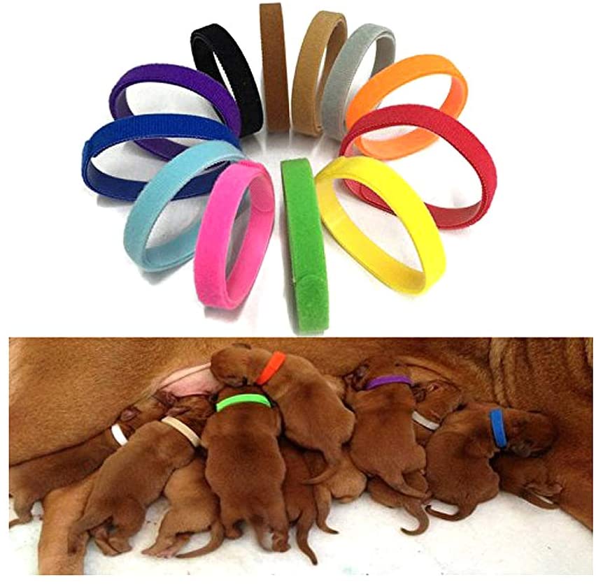 Anjing - Juego de 12 Collares para Cachorros y Gatitos recién Nacidos de Terciopelo Doble Extra Suave 