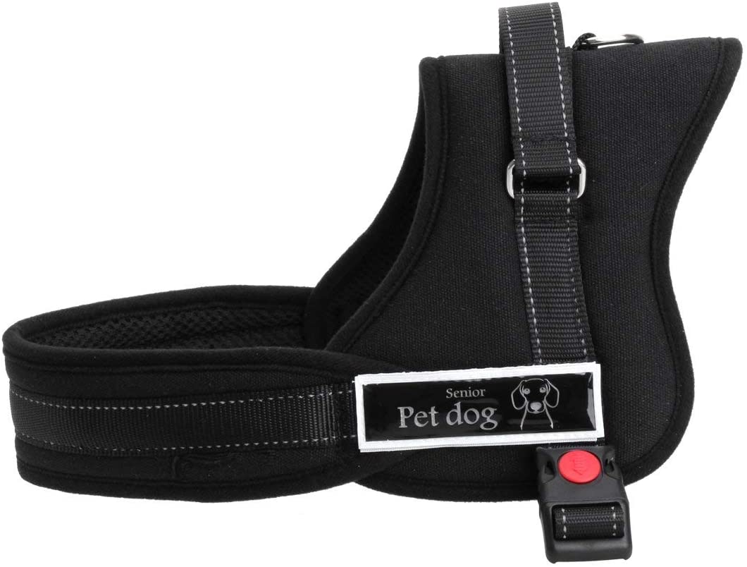  Arnés ajustable al pecho para perro con acolchado suave, ayuda para el adiestramiento de paseos sin tirones 