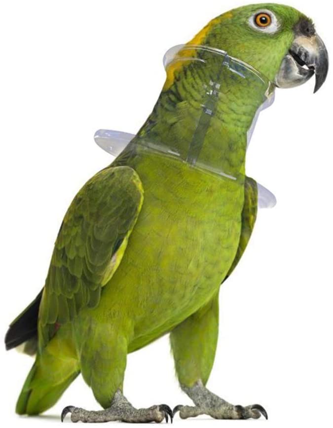  Balacoo Collar de Recuperación para Mascotas Collares Isabelinos Cono de Cuello de Pájaro Collar Anti-Mordida para Loro Guacamayo Pájaro Pequeños Animales Cirugía Recuperación 