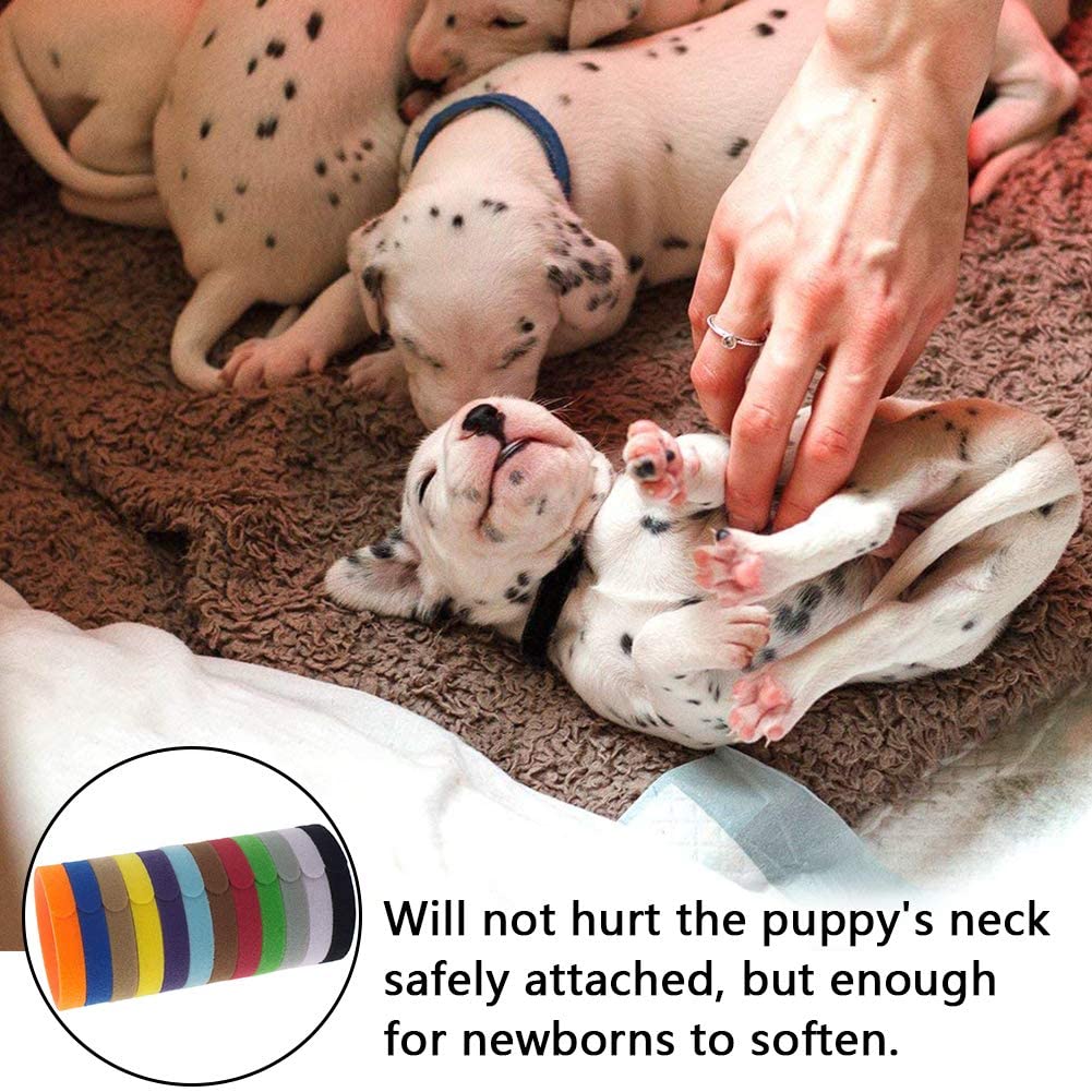  BETOY15 pcs Collares Cachorro – Collares de Identificación para Cachorro Gatito ID Bandas Ajustables,Identifica el Collar,ID Bandas Ajustable para Mascota Perros Gatos Recién Nacido 