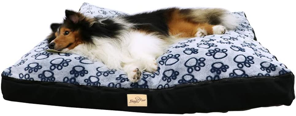  BingoPaw Cama para Perros 100 x 85 x 10cm Sofá Impermeable y Lavable Cómoda Casa con Cojín Extraíble para Mascotas Perros Gatos Cachorros Tamaño XL 