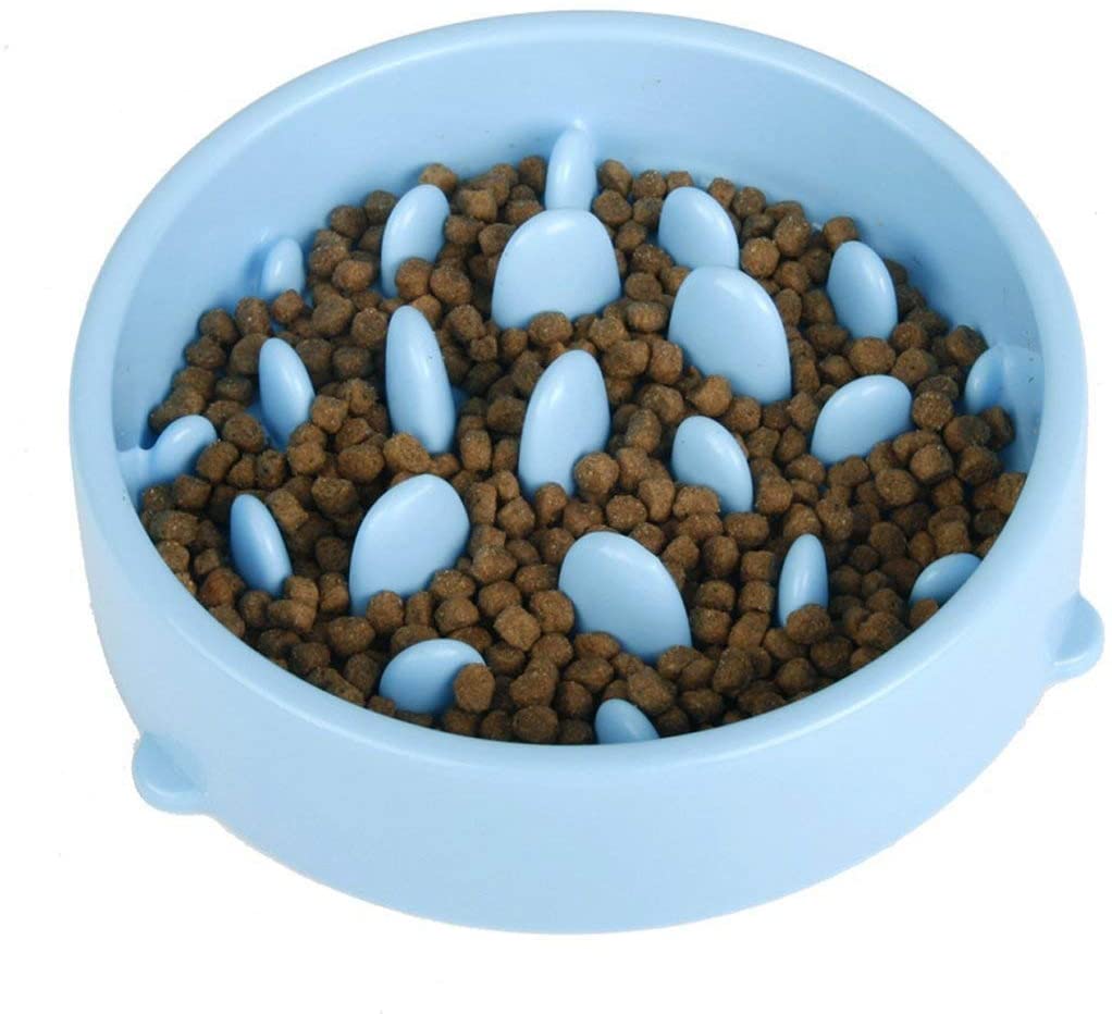 Binnan Tazón Plato de Comida para Mascotas Perro Gato, Comida Lenta Cuenco, Azul 