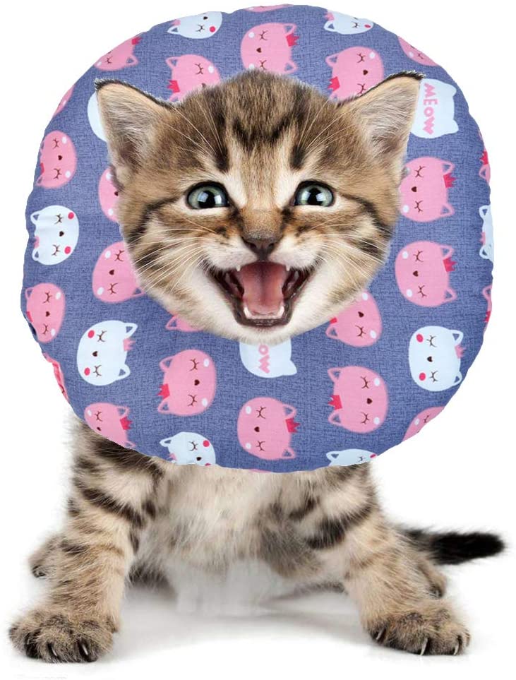  BVAGSS Mascota Collar Recuperación Cuello Blando Ajustable para Perros y Gatos XH004 (S, Grey Cat) 