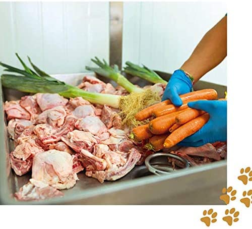  Cocido Natural casero para Perros, húmedo con Carne Fresca y Verduras Frescas - 90% Carne Knatur (12x600gr) (Pollo - Cordero) 