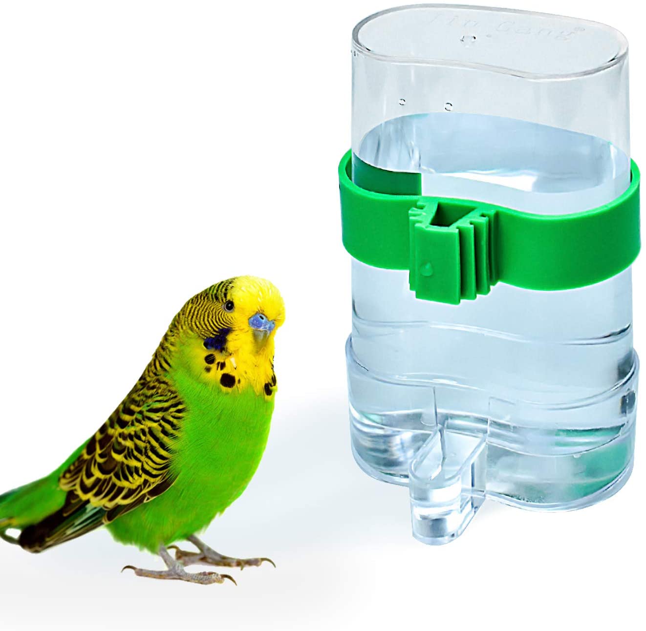  COCOCITY - Dispensador de Agua para pájaros y Loros, Dispositivo de alimentación automática para periquitos, periquitos, cacatúas 
