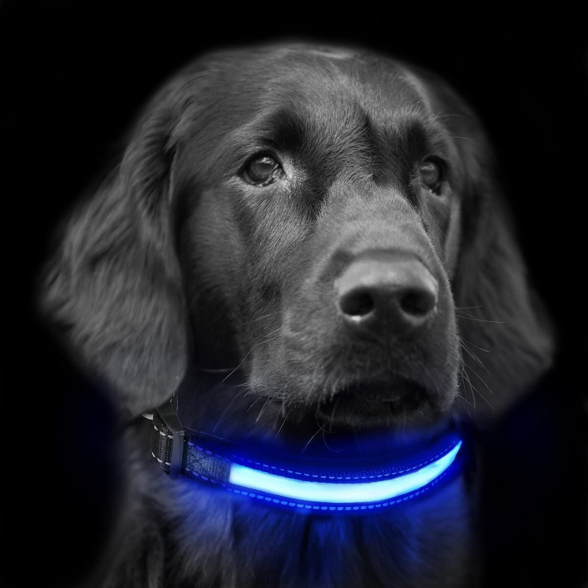  Collar de Perro led, LaiXin Collar para Perro Ajustable de luces LED Ajustable y Reflectante, Impermeable Recargable por USB para Perro Seguridad, Grandes Perro, Rojo, L 