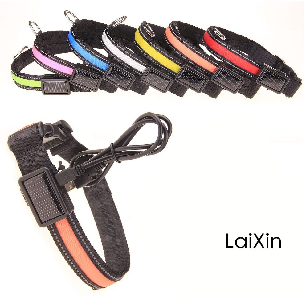  Collar de Perro led, LaiXin Collar para Perro Ajustable de luces LED Ajustable y Reflectante, Impermeable Recargable por USB para Perro Seguridad, Grandes Perro, Rojo, L 