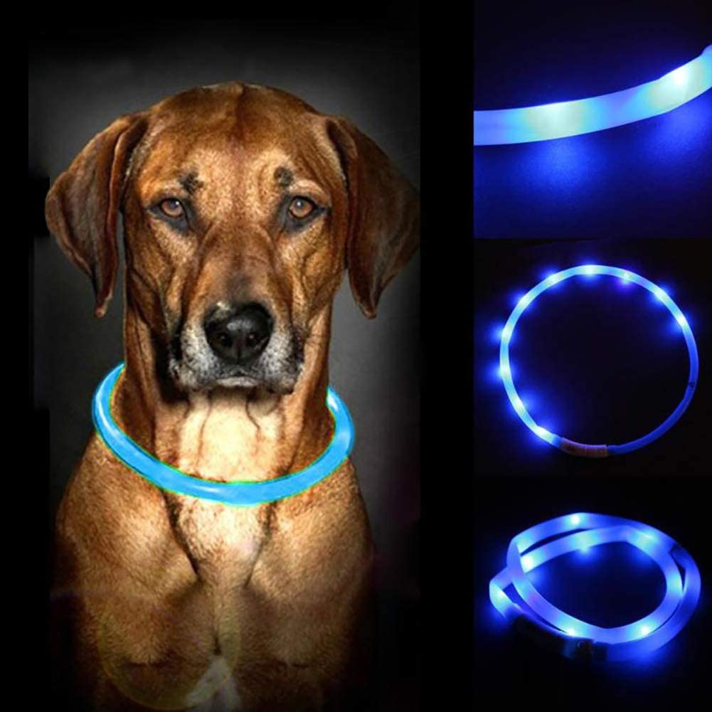  Collar para Perro Fellie, con luz LED Recargable por USB, Collar de Seguridad para la Noche (Azul) 