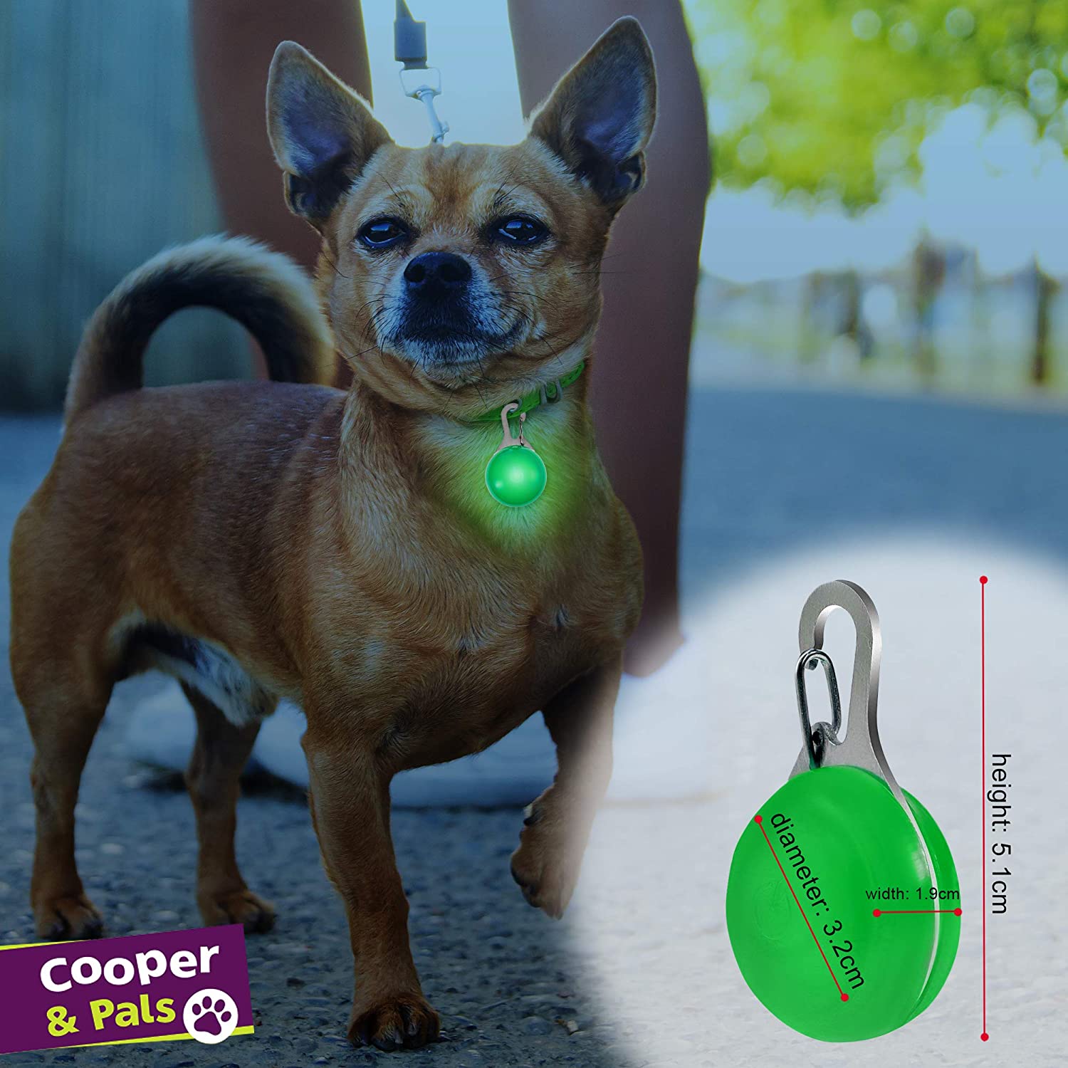  Cooper & Pals Collar para Perros con Luces LED de Seguridad para Mascotas con 3 Modos de Constante, rápido y Lento y se Puede Ver hasta 800 Metros Pack de 6 Verde, Azul y Rojo 