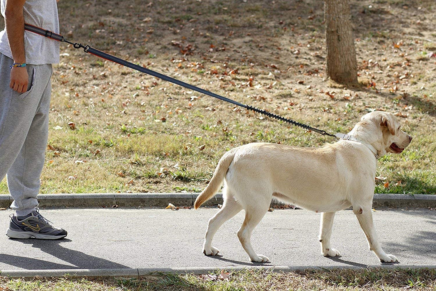  Correa de perro manos libres, correa para correr premium, ligera, reflectante, cinturón antigolpes. 