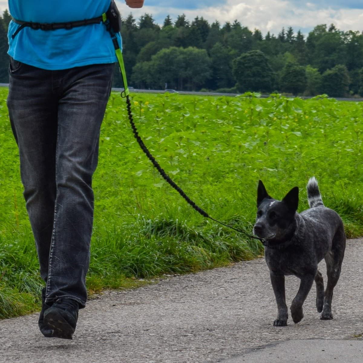  Correa manos libres para perros pequeños de hasta 15 kg | Hundefreund Correa elástica reflectante y extensible de 110 a 160 cm 