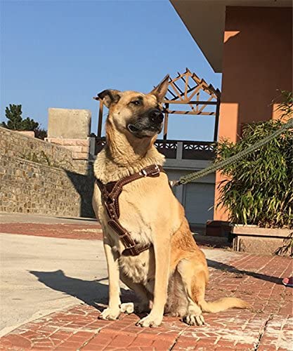  creatwls oscuro marrón suave piel ajustable perro caminar arnés para pastor alemán caza dogs- para perro grande o mediano Perro 