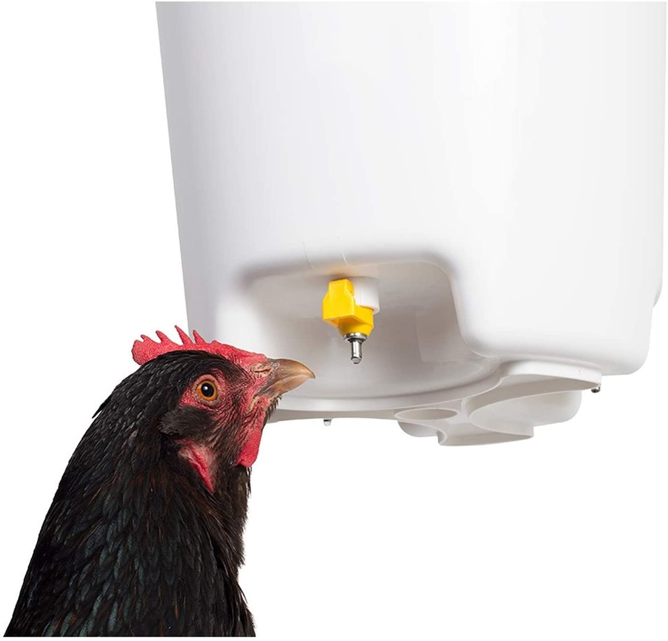  Cubeta bebedero para aves, gallinas, gallos, con tres pezones con filtro 12L 