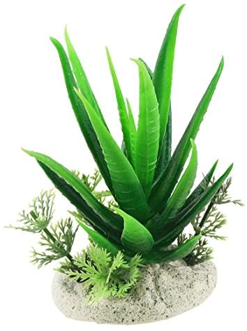  DealMux 3 De delige Plastic Acuario gesimu leerde planten, 4.3 pulgadas, aloë Vera Green 