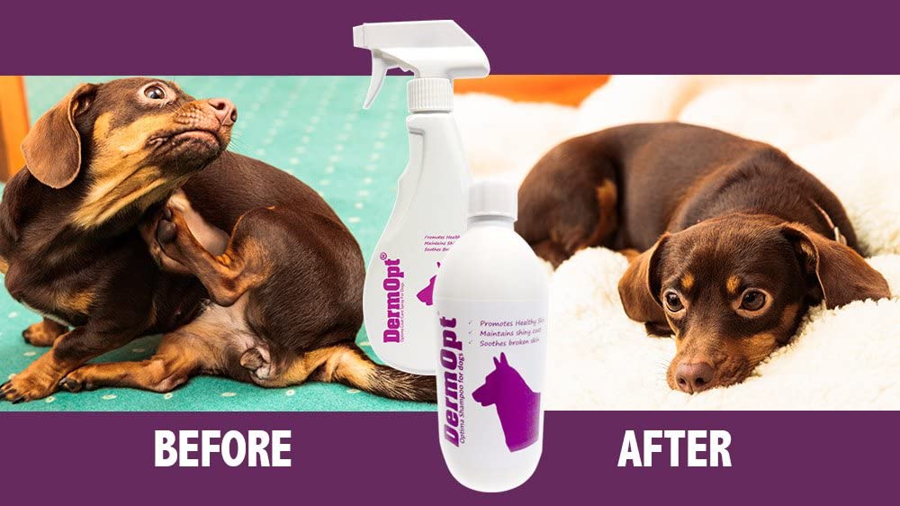  DermOpt® Spray y acondicionador de piel para el cuidado de perros, alivia el picor 