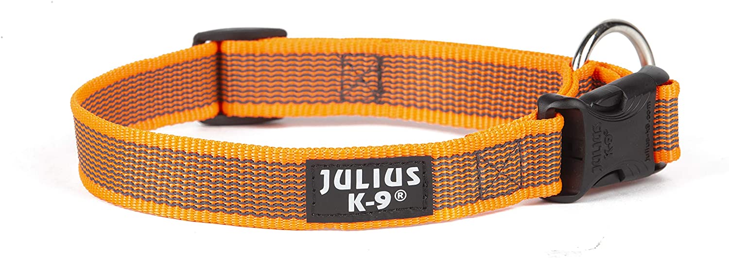  Desconocido Julius-K9 Color & Gray Collar, 25 Mm (39-65 Cm), Naranja-Gris 