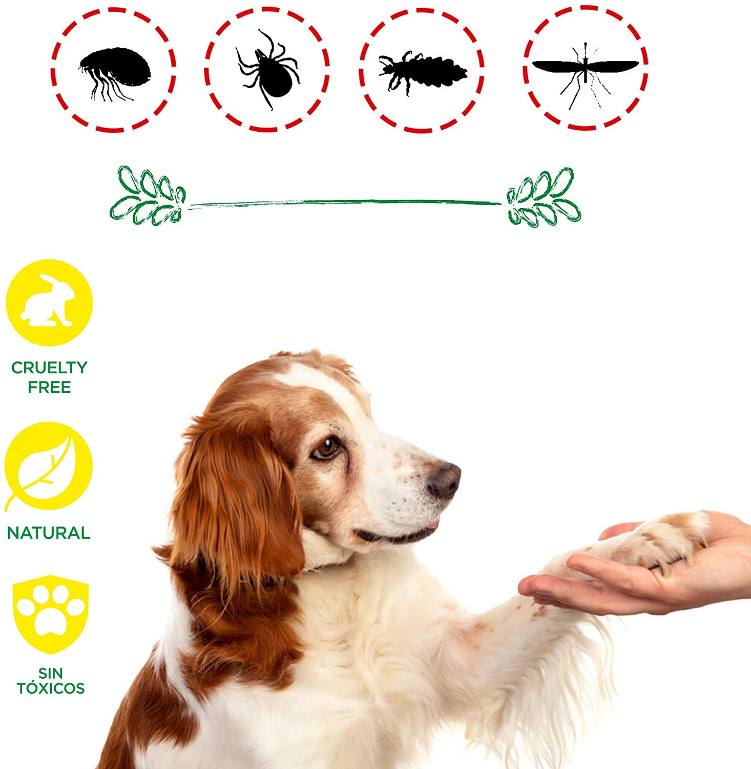  DISANE Pipetas Antiparasitarias para Perros 100% Naturales | 4 Uds | 4 Meses de Protección Contra Insectos y Parásitos: Pulgas, Garrapatas y Mosquitos | Antipulgas Sin Toxicidad para el Perro 