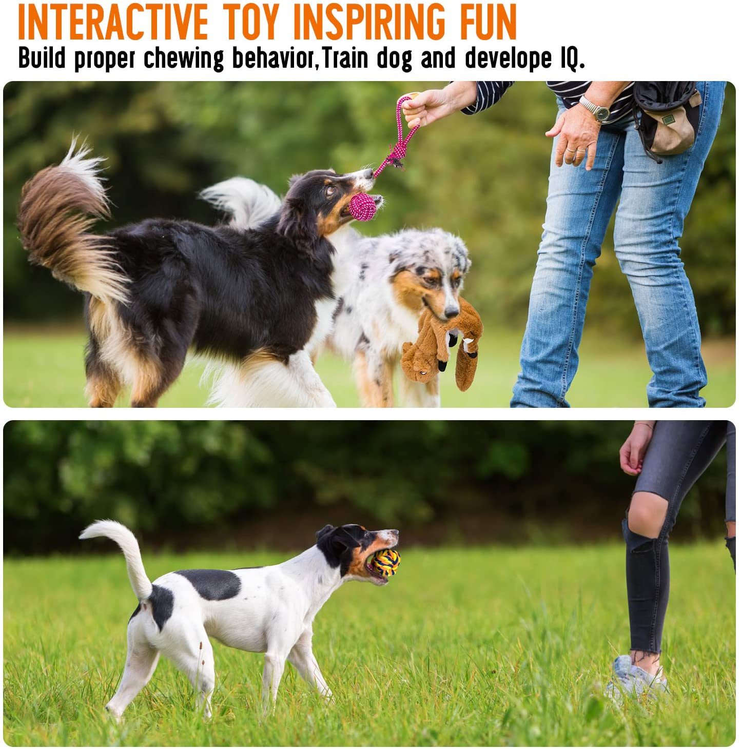  Dog Squeaky Toys Peluches para perros Chew No Stuffing Puppy Toys Juguetes de cuerda duraderos 
