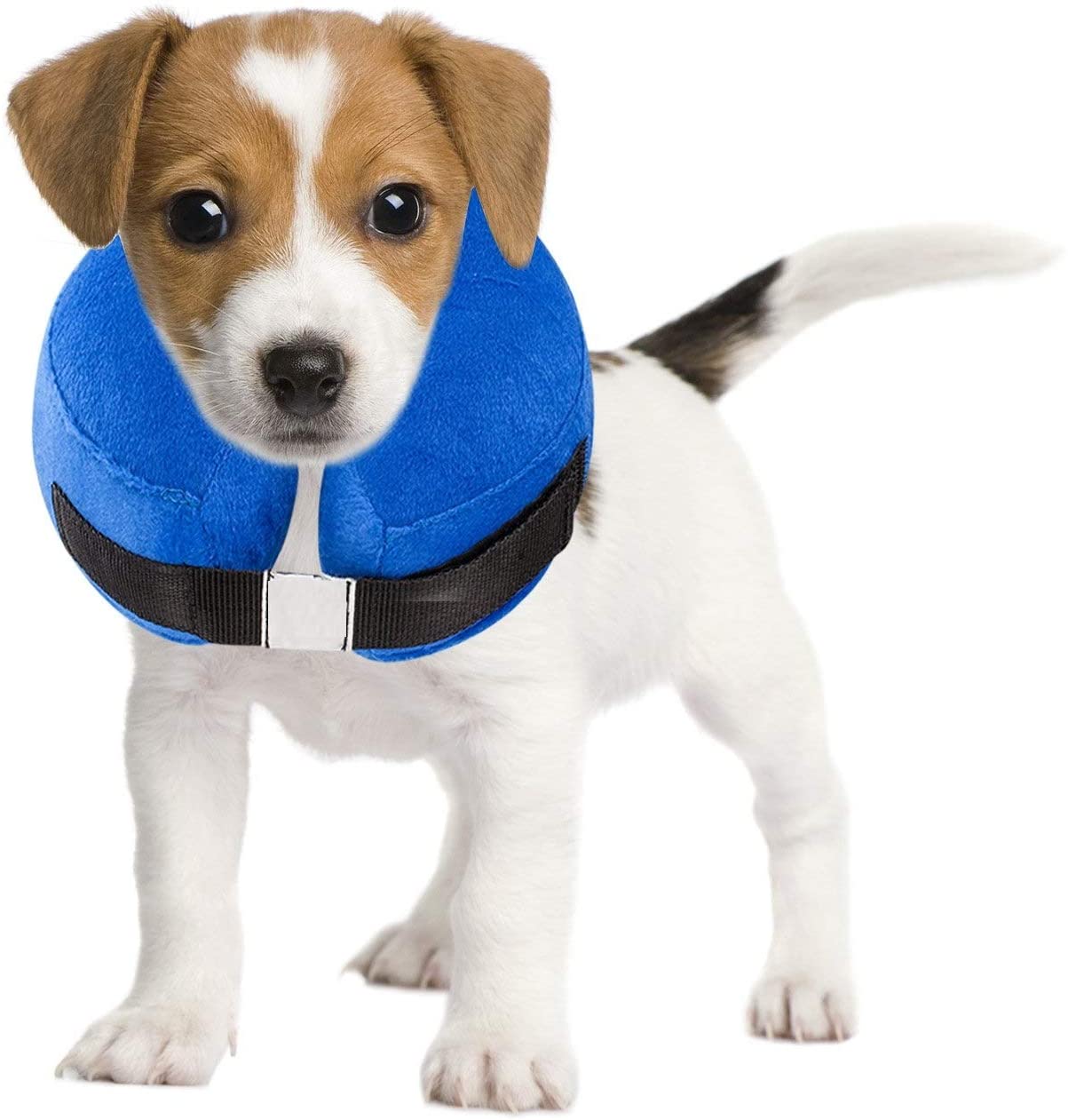  Ducomi Collar de Recuperación Inflable para Perros, Cono de Cuello Isabelino Ajustable para Mascotas Recuperación de Cirugía o Heridas - Previene la Infección por Arañazos y Picaduras (Azul, S) 