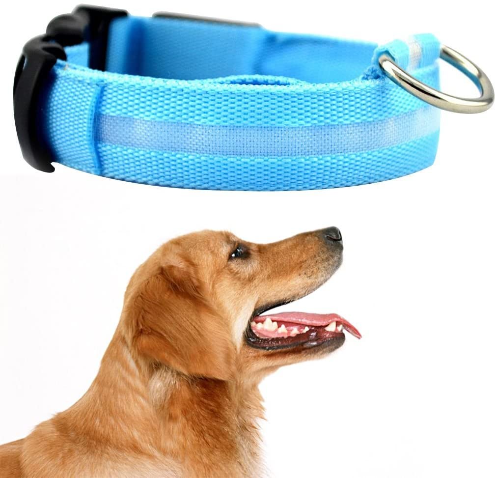  Elenxs Collar de Perro para Mascotas Nueva LED Parpadeante Correa del Perro del Resplandor de la Correa de Cuello Collares para Mascotas Fluorescente Gato Cuello Cinturón de Cuerda Cordón Azul S 
