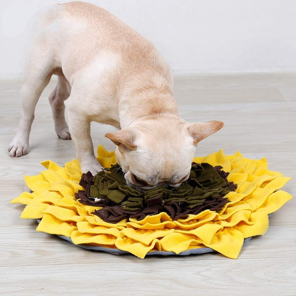  FXQIN Dog Snuffle Mat - Pet Feeding Mat 48 cm x 48 cm - Interactive Brain Teaser Treat Mat for Foraging Instinct, Indoor Boredom Stress Relief (Yellow) 