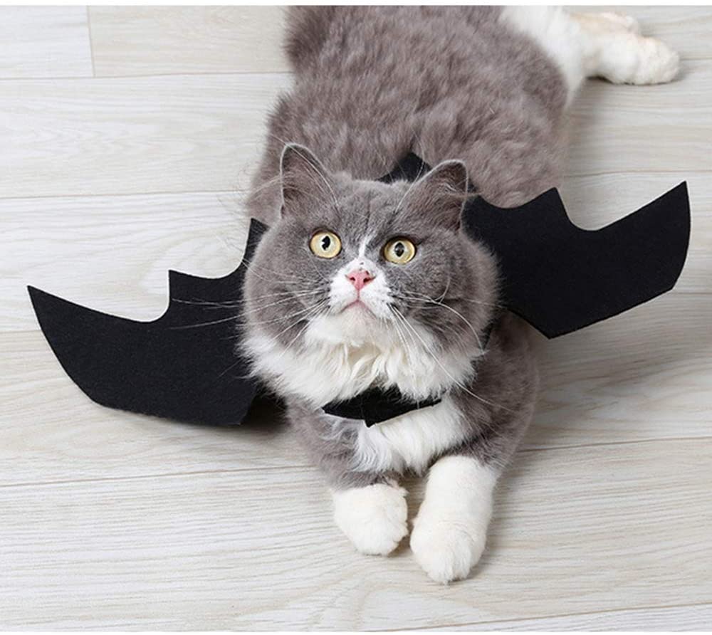  Glodenbridge Halloween Pet Dog Costume Vampire Wings Fancy Dress Costume Outfit Bat Wings Cats Dogs which Neck Circumference from 24-36cm Bust from 36-42cm 