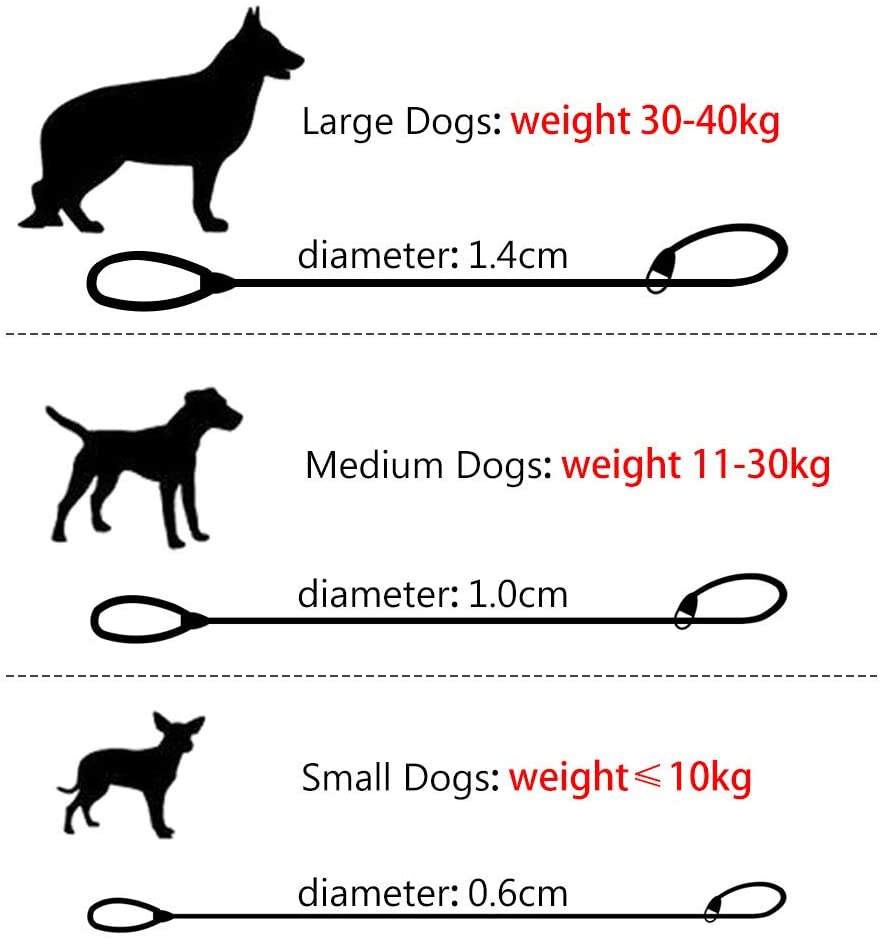  Grand Line Correa Ajustable Cuerda de Nylon para Perros y Gatos Pequeños, Medianos, Grandes y Extra Pesados Ideal para Entrenamiento Corriendo- 150cm, Naranja 