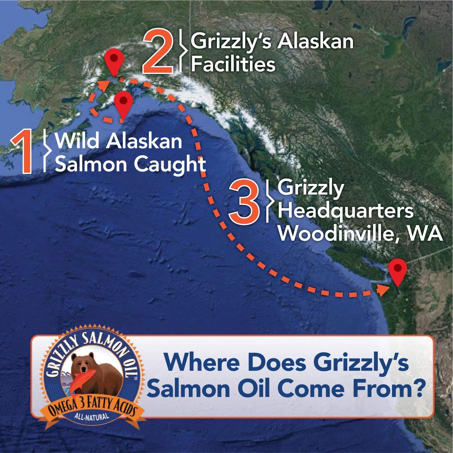  Grizzly salmón Aceite Natural Perro Alimentos suplemento en Pump-Bottle dispensador 