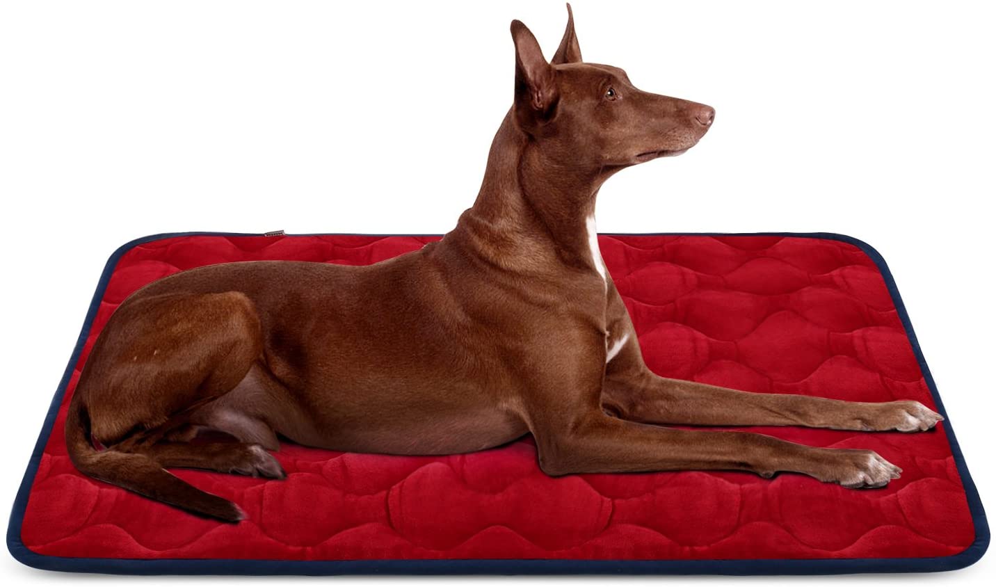  Hero Dog Cama Colchoneta Perro Grande Lavable, Cojines para Mascotas Antideslizante Vellón Almohadilla Suave 107x70 cm (Rojo L) 