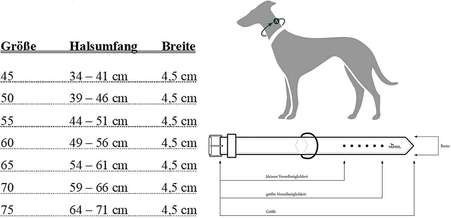  Hunter Collar de Neopreno Reflectante, para Perros, Negro (Negro/Gris), Tamaño 50, 39 - 46 cm, 45 mm 