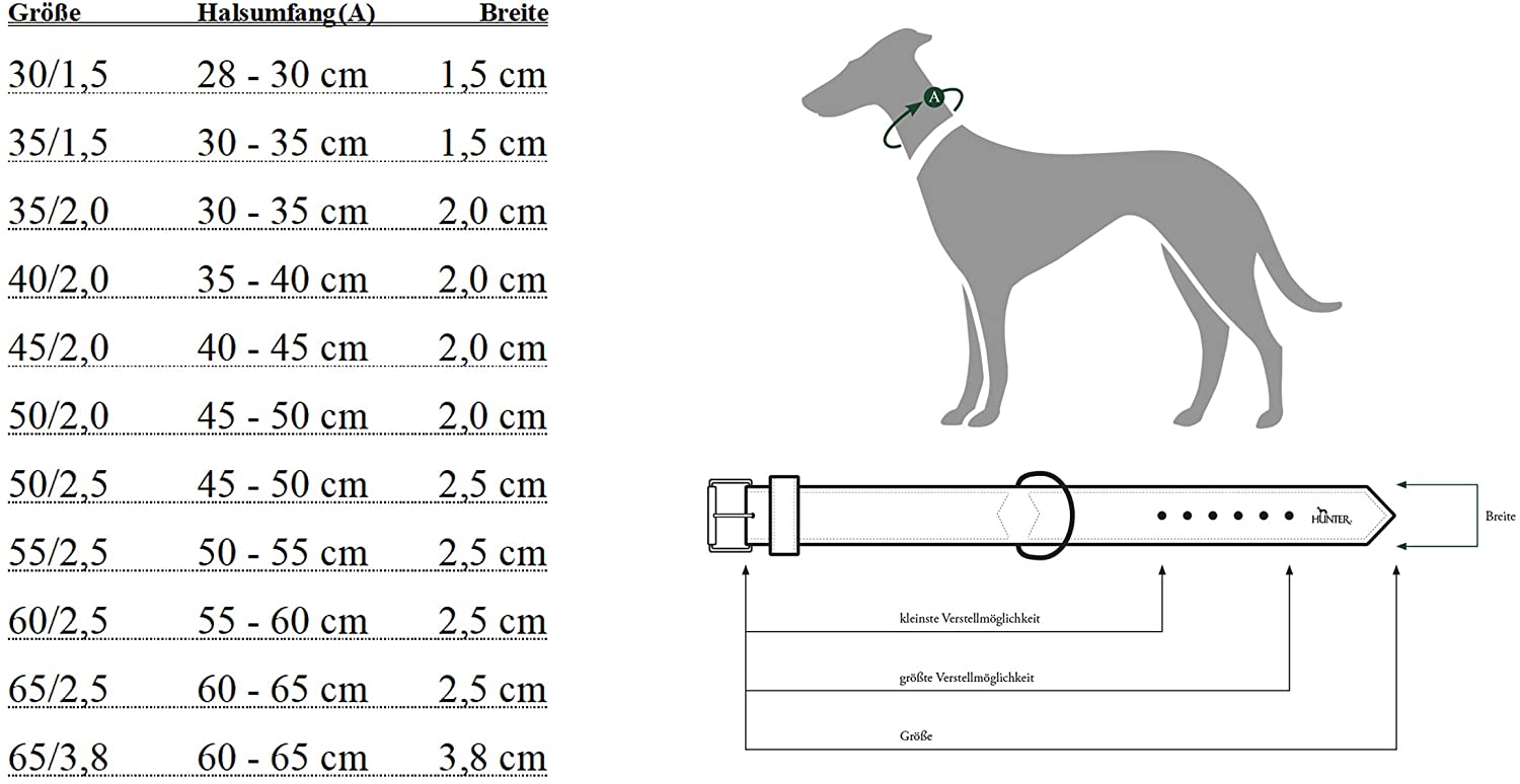  Hunter - Collar de nylon modelo Neoprene Vario Plus para perros 