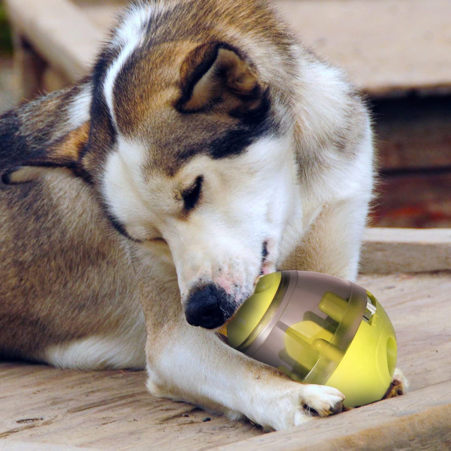  Juguete Comida Perro,Payxuan Actualizado Bola para Perros Interactivos Para Comer Lento y Ejercicio Intelectual-Verde 