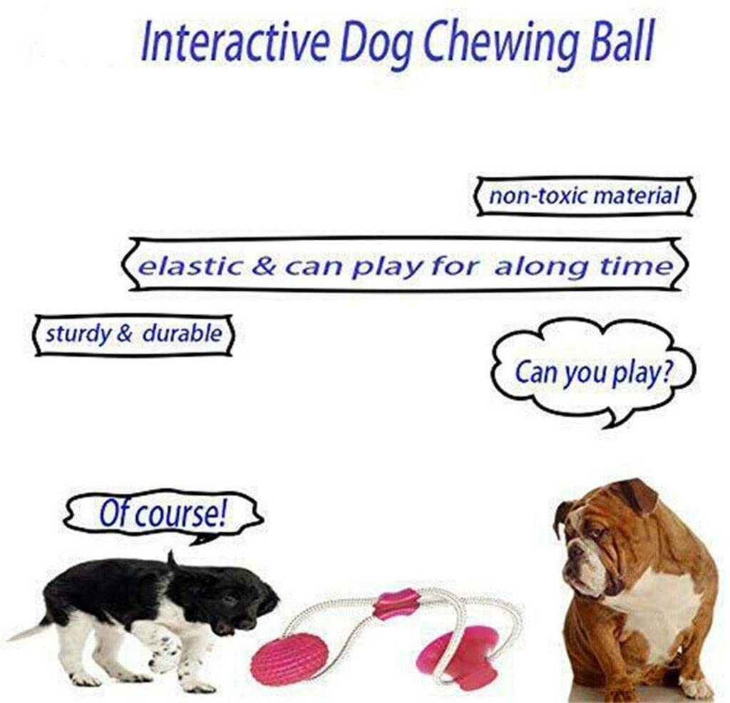  Juguete de mordida para Mascotas multifunción, Juguete de Cuerda para Tirar, Resistente, Juguete con Ventosa, Tugging, Tirar, Masticar, Jugar para Perros(2 Pezzi) 