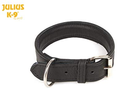  Julius K9 40083-60 Eco Leather Collar Width: 1, 6"/ 40mm Lenght: 23, 5"/ 60 cm, Multicolor 