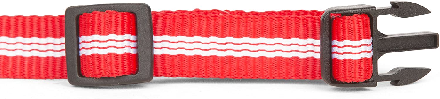  Julius-K9 Collar de Correas Tubulares IDC, 19 mm x 27-42 cm, Rojo 