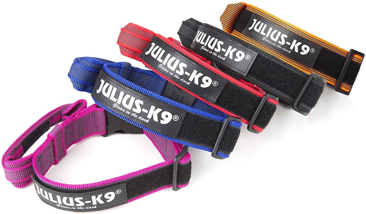  Julius-K9 Color & Gray Collar con La Manija, La Cerradura De Seguridad Y El Remiendo Intercambiables, 40 Mm (38-53 Cm), Naranja-Gris 