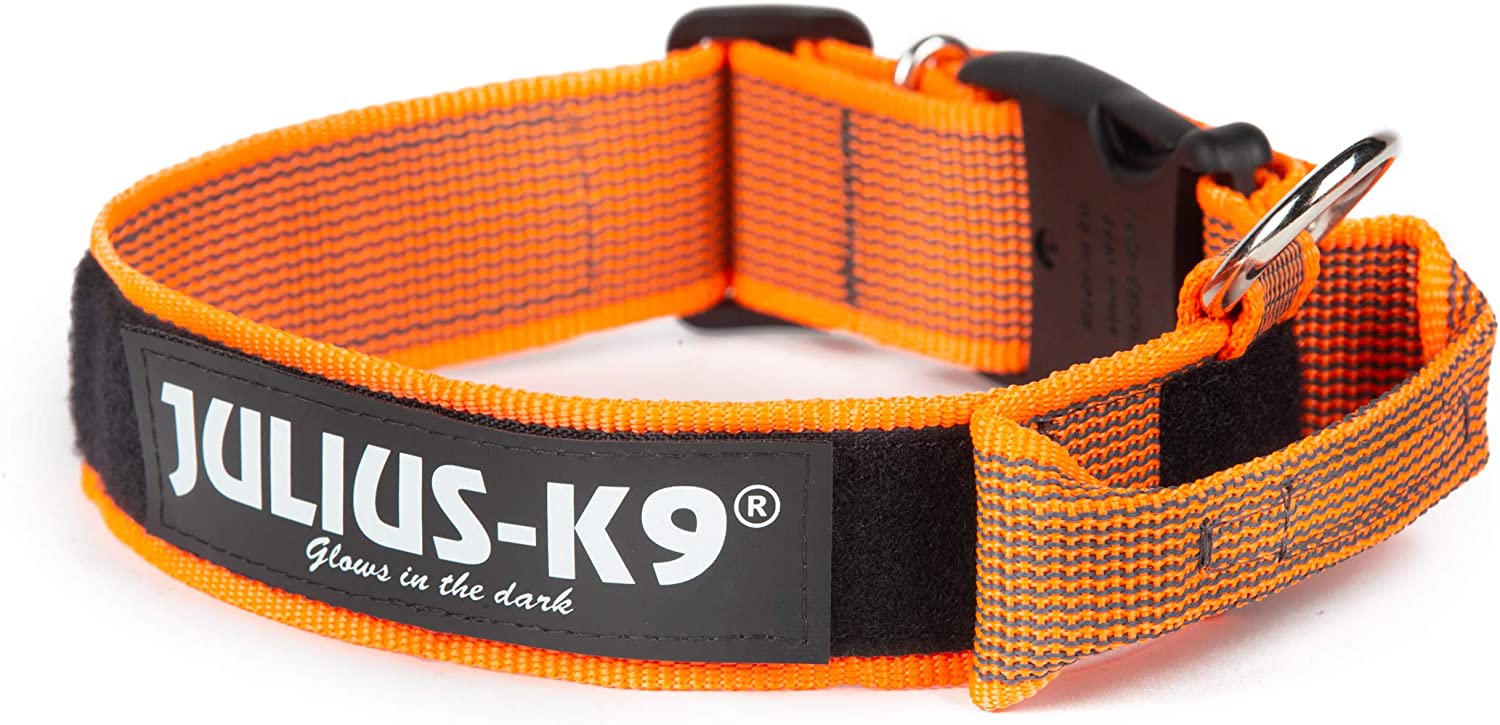  Julius-K9 Color & Gray Collar con La Manija, La Cerradura De Seguridad Y El Remiendo Intercambiables, 50 Mm (49-70 Cm), Naranja-Gris 