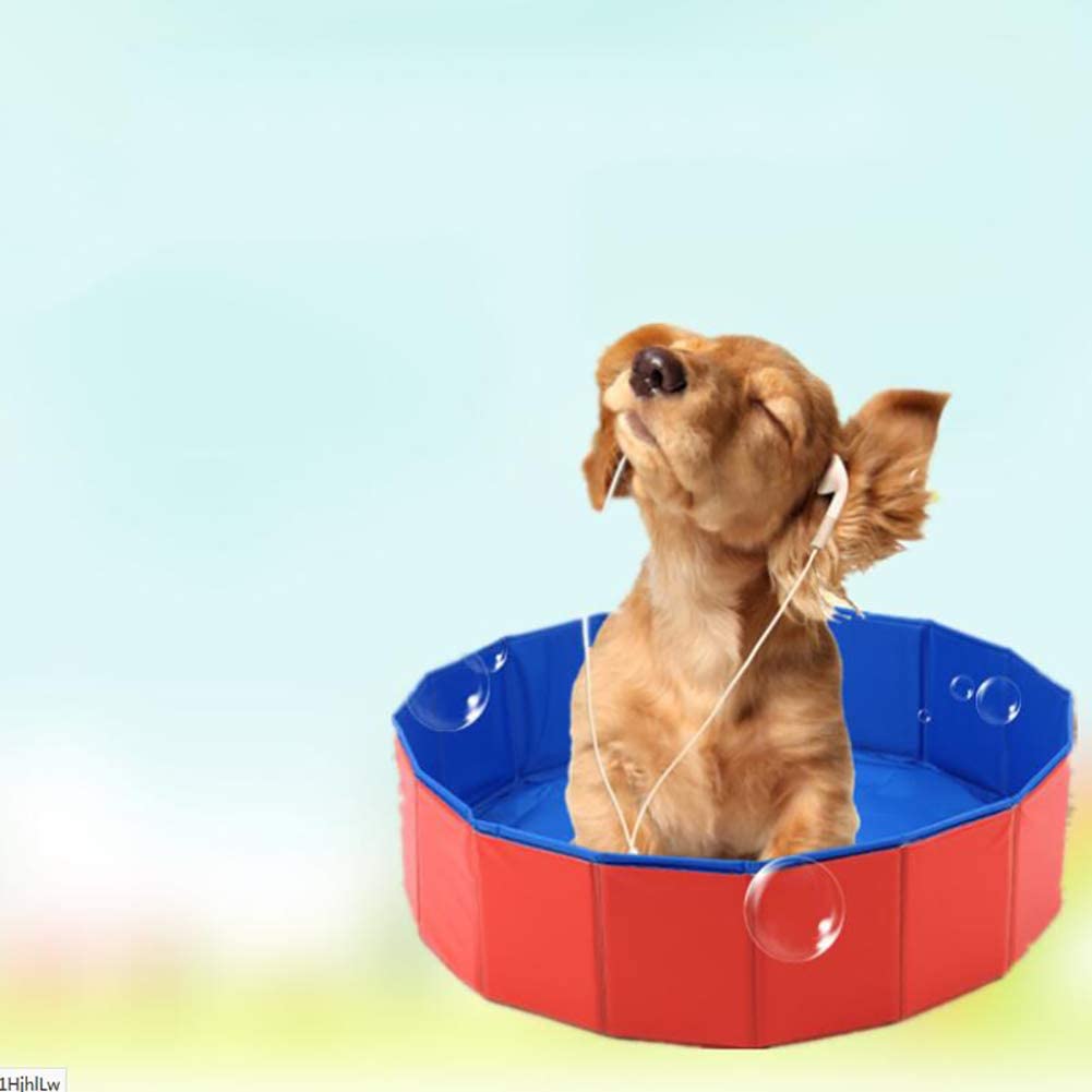  JYY Piscina de Mascotas Plegable, plástico Duro Plegable bañera de hidromasaje Piscinas al Aire Libre Perro Gato Suministros de baño,S 