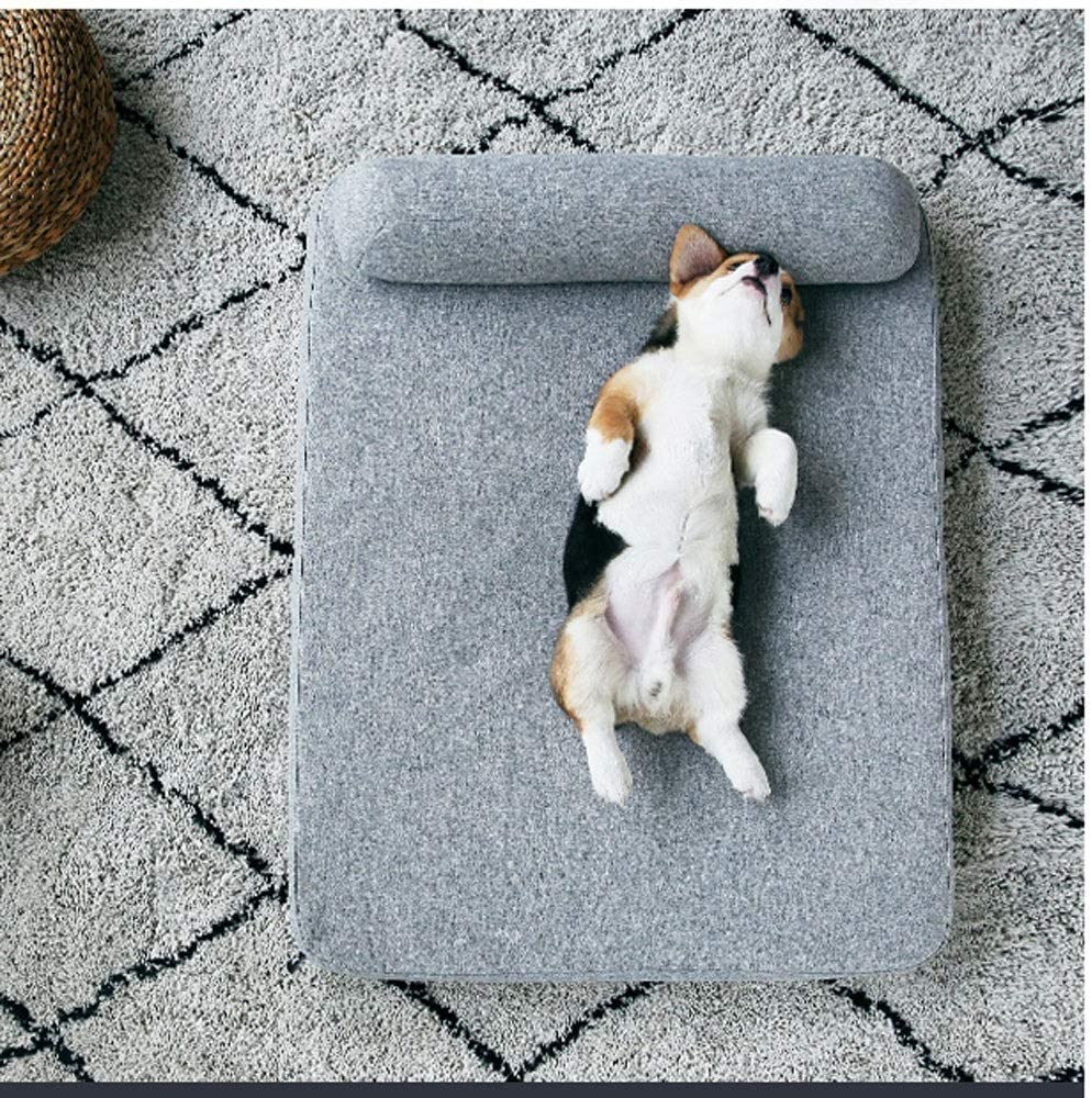  Le piccole e medie dimensioni di Letti Cane da compagnia lavabile letto Base del Gatto, un divano da compagnia rifornimenti dell'animale domestico Gatto materassini stuoie (M, L) (Size : L) 