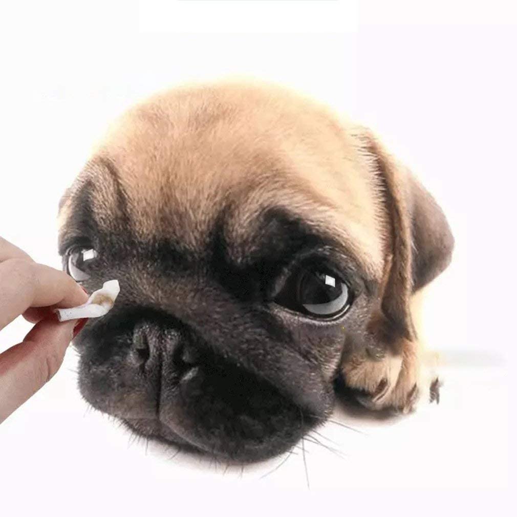  Leoboone Gatos Perros Perros y Gatos Limpie los excrementos de Ojos de Mascotas con Sus Ojos para Quitar 100 Toallas húmedas con lágrimas 