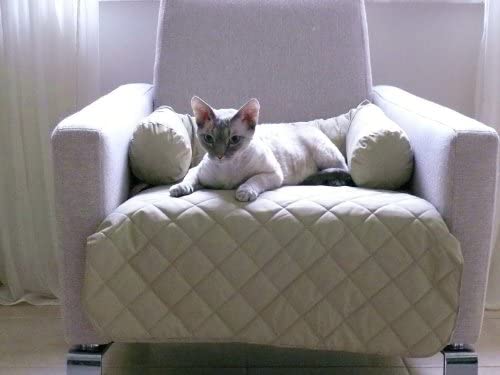  LEOS Funda de sofá, cama para perros, sofá, manta para perros, tamaños: S-XL 