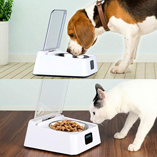  LLDKA Alimentador automático Inteligente, Apto para Feeders Mascotas Concisa húmedos y Alimentos Secos con la inducción de Infrarrojos 