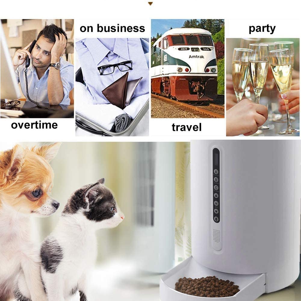  LLDKA Alimentador Triturador, Perros Gatos Animales pequeños alarmas de distribución, Control de porciones y grabación de Voz, Comidas 