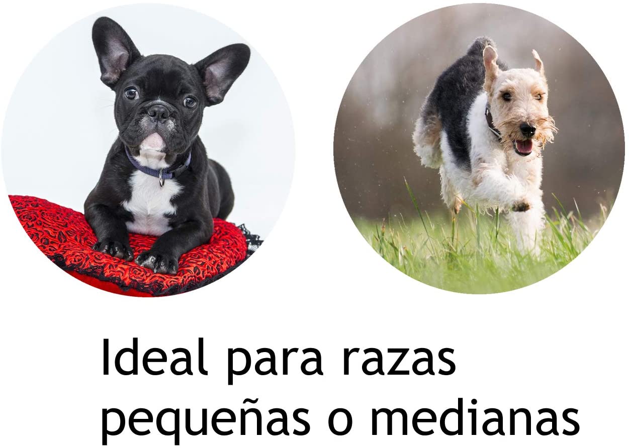  Mascow Correa Extensible Retráctil para Perros, con Luz Led y Dispensador De Bolsas Incorporado 