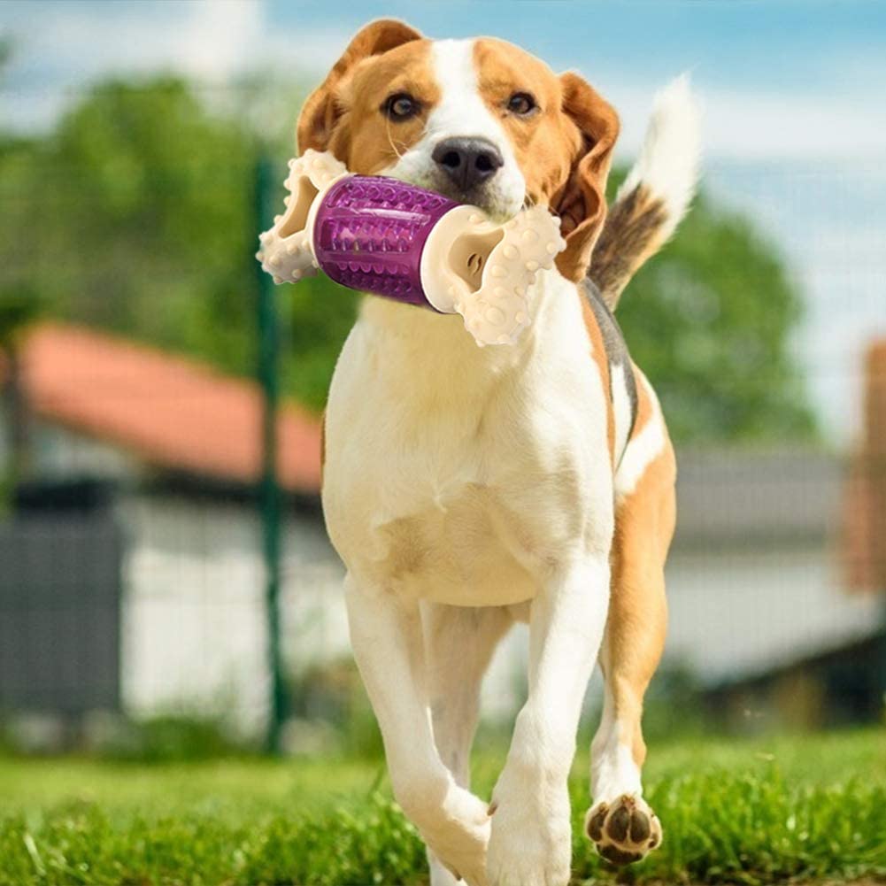  N/ A Juguete Molar para Perros con Forma de Hueso TPR Resistente a la mordida Producto Interactivo para Mascotas 